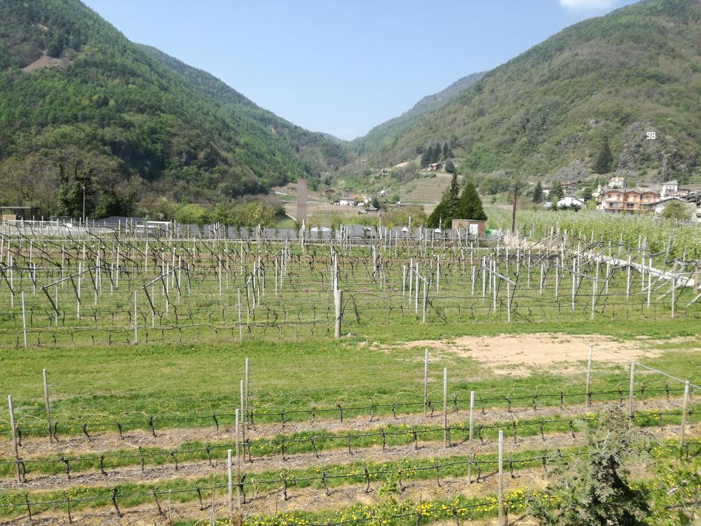Agriturismo Le Cavade Cembra Lisignago Dış mekan fotoğraf